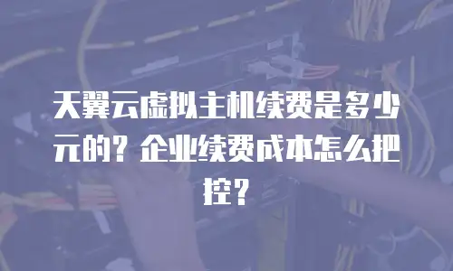 天翼云虚拟主机续费是多少元的？企业续费成本怎么把控？