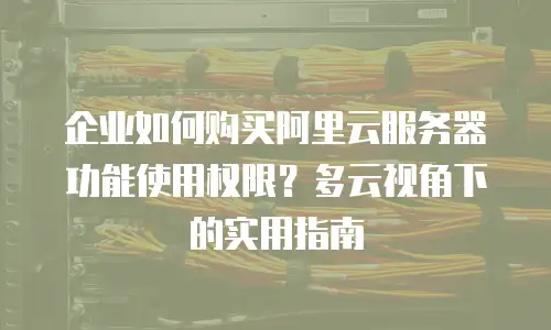 企业如何购买阿里云服务器功能使用权限？多云视角下的实用指南