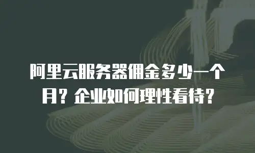 阿里云服务器佣金多少一个月？企业如何理性看待？