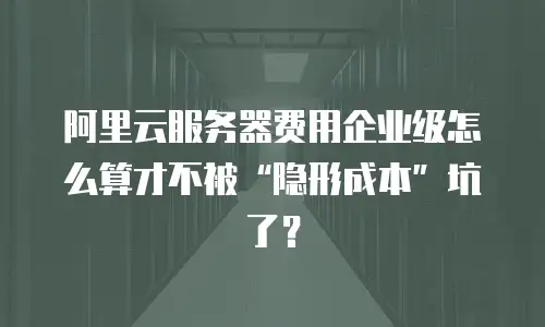 阿里云服务器费用企业级怎么算才不被“隐形成本”坑了？