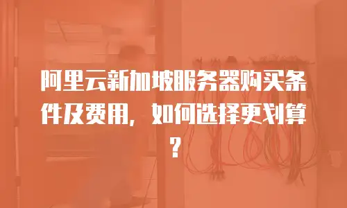 阿里云新加坡服务器购买条件及费用，如何选择更划算？