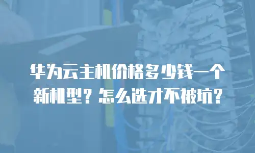 华为云主机价格多少钱一个新机型？怎么选才不被坑？