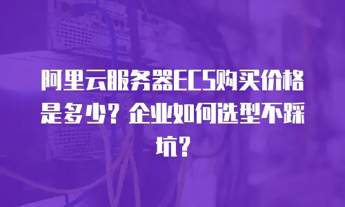 阿里云服务器ECS购买价格是多少？企业如何选型不踩坑？