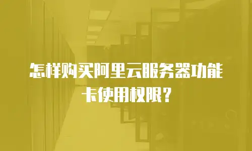 怎样购买阿里云服务器功能卡使用权限？