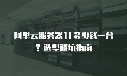 阿里云服务器1T多少钱一台？选型避坑指南