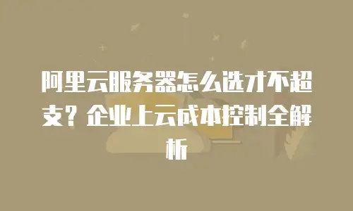 阿里云服务器怎么选才不超支？企业上云成本控制全解析