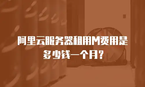 阿里云服务器租用M费用是多少钱一个月？