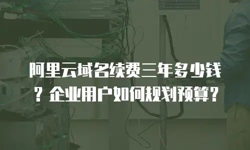 阿里云域名续费三年多少钱？企业用户如何规划预算？