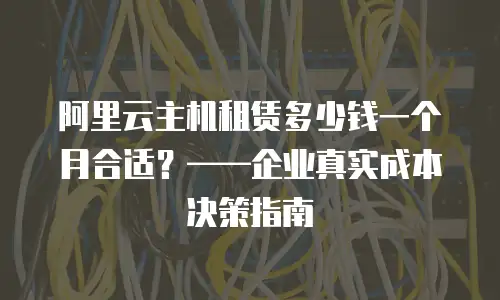阿里云主机租赁多少钱一个月合适？——企业真实成本决策指南
