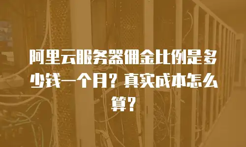 阿里云服务器佣金比例是多少钱一个月？真实成本怎么算？
