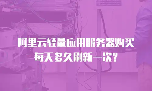 阿里云轻量应用服务器购买每天多久刷新一次？