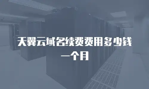 天翼云域名续费费用多少钱一个月