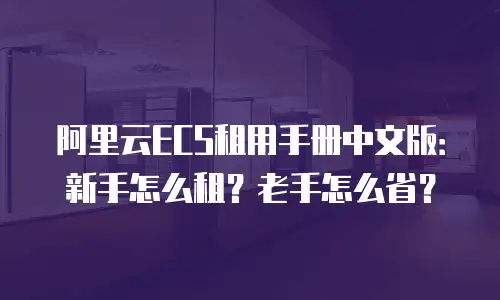 阿里云ECS租用手册中文版：新手怎么租？老手怎么省？