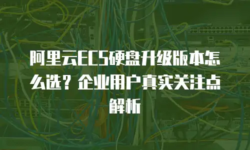 阿里云ECS硬盘升级版本怎么选？企业用户真实关注点解析
