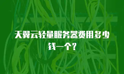 天翼云轻量服务器费用多少钱一个？