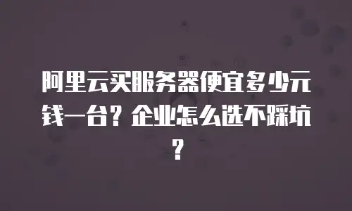 阿里云买服务器便宜多少元钱一台？企业怎么选不踩坑？