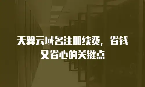 天翼云域名注册续费，省钱又省心的关键点