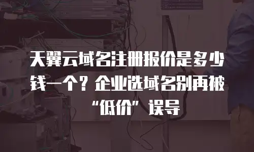 天翼云域名注册报价是多少钱一个？企业选域名别再被&ldquo;低价&rdquo;误导