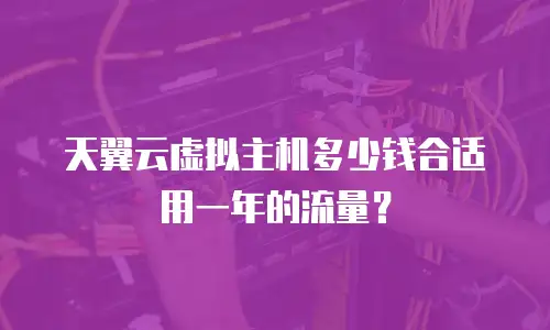 天翼云虚拟主机多少钱合适用一年的流量？