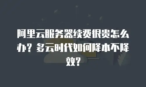 阿里云服务器续费很贵怎么办？多云时代如何降本不降效？