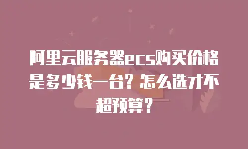 阿里云服务器ecs购买价格是多少钱一台？怎么选才不超预算？
