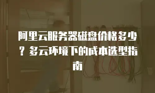 阿里云服务器磁盘价格多少？多云环境下的成本选型指南