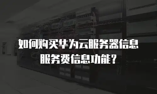 如何购买华为云服务器信息服务费信息功能？