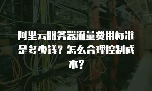 阿里云服务器流量费用标准是多少钱？怎么合理控制成本？