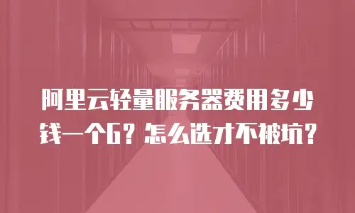 阿里云轻量服务器费用多少钱一个G？怎么选才不被坑？