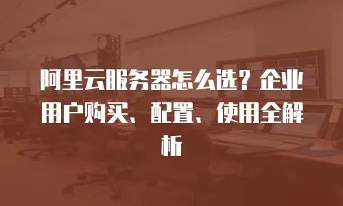 阿里云服务器怎么选？企业用户购买、配置、使用全解析