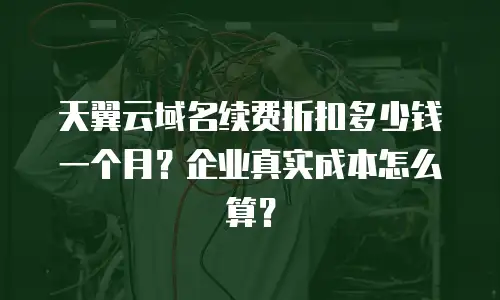 天翼云域名续费折扣多少钱一个月？企业真实成本怎么算？