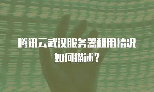 腾讯云武汉服务器租用情况如何描述？