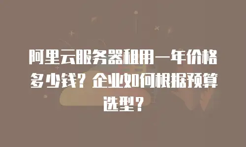 阿里云服务器租用一年价格多少钱？企业如何根据预算选型？