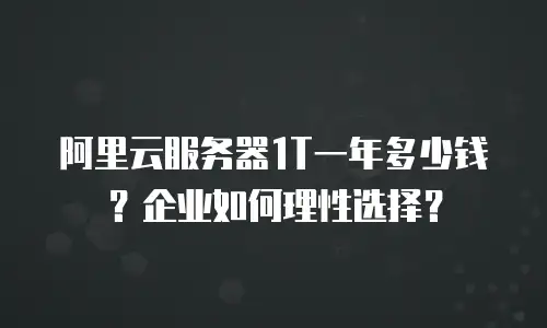 阿里云服务器1T一年多少钱？企业如何理性选择？