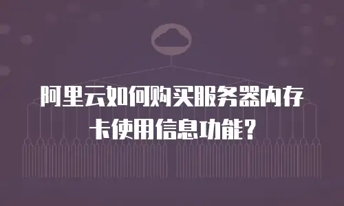 阿里云如何购买服务器内存卡使用信息功能？