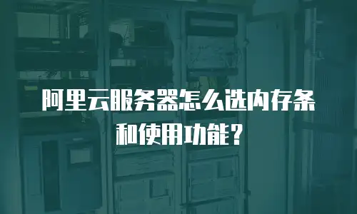 阿里云服务器怎么选内存条和使用功能？