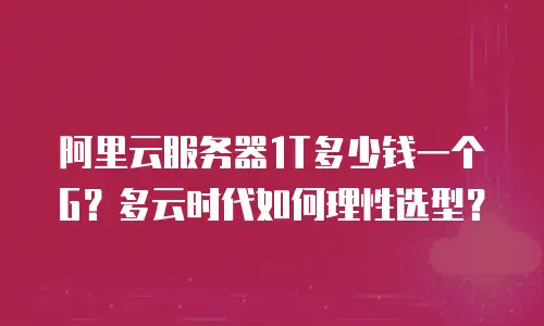 阿里云服务器1T多少钱一个G？多云时代如何理性选型？