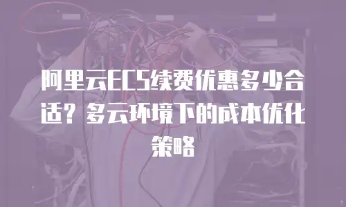 阿里云ECS续费优惠多少合适？多云环境下的成本优化策略