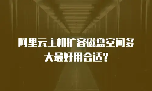 阿里云主机扩容磁盘空间多大最好用合适？