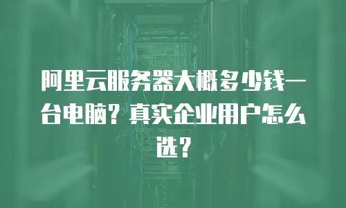 阿里云服务器大概多少钱一台电脑？真实企业用户怎么选？