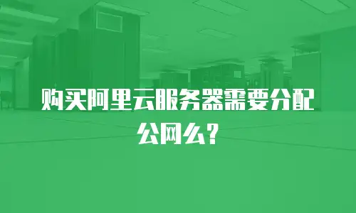购买阿里云服务器需要分配公网么？