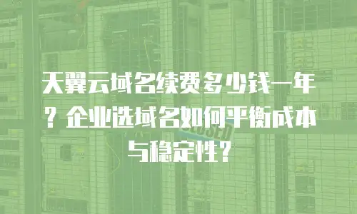 天翼云域名续费多少钱一年？企业选域名如何平衡成本与稳定性？