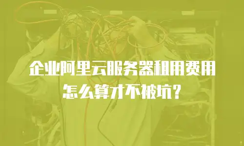 企业阿里云服务器租用费用怎么算才不被坑？