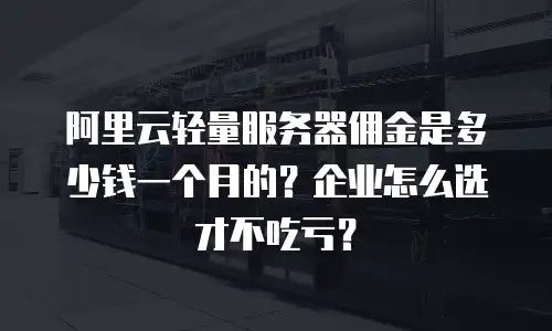 阿里云轻量服务器佣金是多少钱一个月的？企业怎么选才不吃亏？