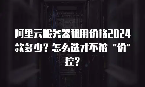 阿里云服务器租用价格2024款多少？怎么选才不被“价”控？
