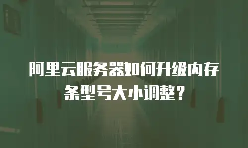 阿里云服务器如何升级内存条型号大小调整？