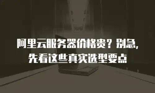 阿里云服务器价格贵？别急，先看这些真实选型要点