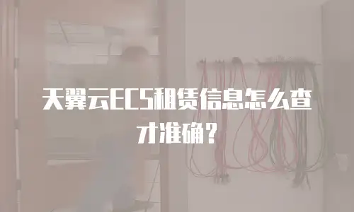 天翼云ECS租赁信息怎么查才准确？