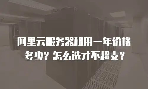 阿里云服务器租用一年价格多少？怎么选才不超支？