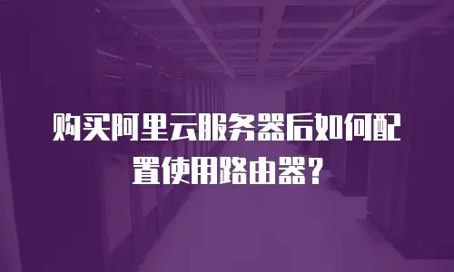 购买阿里云服务器后如何配置使用路由器？